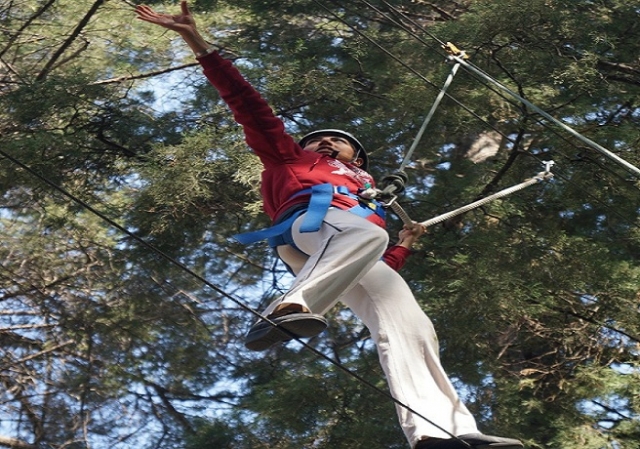  Balance and concentration 